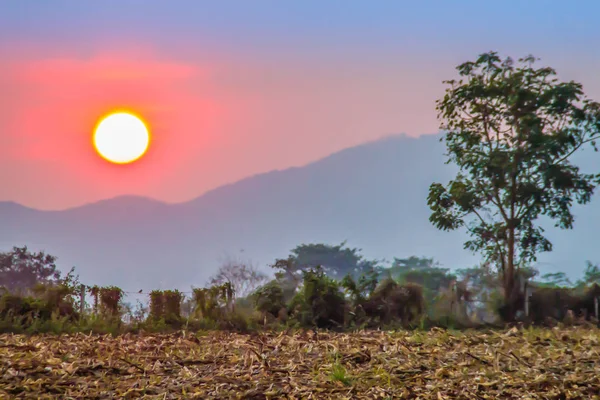 Sunset in the valley of corn field after harvested at Khao Yai national park, Nakhon Ratchsima, Thailand. Calm valley during dawn with sunrise in the morning.