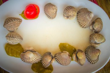 Metniniz için kırmızı domates arka plan ve kopya alanı ile beyaz yemek üzerine haşlanmış kan istiridye. Buğulanmış daraltan kırmızı domates ve kopya alanı ile. Tarak kan veya kan istiridye (Tegillarca granosa) arka plan.