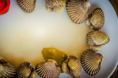 Metniniz için kopya alanı ile beyaz çanak üzerinde kan istiridye haşlanmış. Tarak çerçeve kopya alanı ile biraz uzun tuttum. Kan daraltan ya da deniz ürünleri kavramı için kan istiridye (Tegillarca granosa) arka plan.