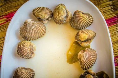 Metniniz için kopya alanı ile beyaz çanak üzerinde kan istiridye haşlanmış. Tarak çerçeve kopya alanı ile biraz uzun tuttum. Kan daraltan ya da deniz ürünleri kavramı için kan istiridye (Tegillarca granosa) arka plan.
