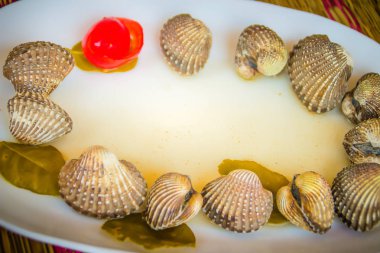 Metniniz için kırmızı domates arka plan ve kopya alanı ile beyaz yemek üzerine haşlanmış kan istiridye. Buğulanmış daraltan kırmızı domates ve kopya alanı ile. Tarak kan veya kan istiridye (Tegillarca granosa) arka plan.