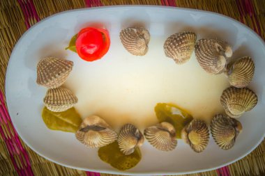 Metniniz için kırmızı domates arka plan ve kopya alanı ile beyaz yemek üzerine haşlanmış kan istiridye. Buğulanmış daraltan kırmızı domates ve kopya alanı ile. Tarak kan veya kan istiridye (Tegillarca granosa) arka plan.