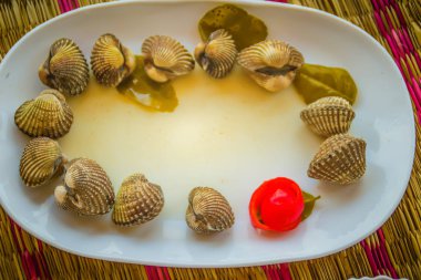 Metniniz için kırmızı domates arka plan ve kopya alanı ile beyaz yemek üzerine haşlanmış kan istiridye. Buğulanmış daraltan kırmızı domates ve kopya alanı ile. Tarak kan veya kan istiridye (Tegillarca granosa) arka plan.