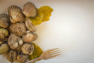 Metniniz için kopya alanı ile beyaz çanak üzerinde kan istiridye haşlanmış. Tarak çerçeve kopya alanı ile biraz uzun tuttum. Kan daraltan ya da deniz ürünleri kavramı için kan istiridye (Tegillarca granosa) arka plan.