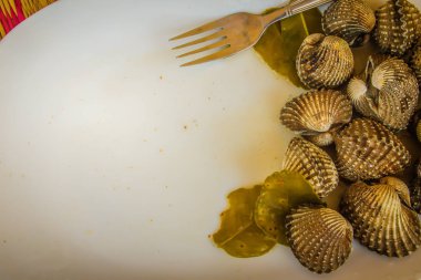 Metniniz için kopya alanı ile beyaz çanak üzerinde kan istiridye haşlanmış. Tarak çerçeve kopya alanı ile biraz uzun tuttum. Kan daraltan ya da deniz ürünleri kavramı için kan istiridye (Tegillarca granosa) arka plan.