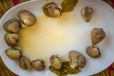 Metniniz için kopya alanı ile beyaz çanak üzerinde kan istiridye haşlanmış. Tarak çerçeve kopya alanı ile biraz uzun tuttum. Kan daraltan ya da deniz ürünleri kavramı için kan istiridye (Tegillarca granosa) arka plan.