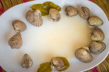 Metniniz için kopya alanı ile beyaz çanak üzerinde kan istiridye haşlanmış. Tarak çerçeve kopya alanı ile biraz uzun tuttum. Kan daraltan ya da deniz ürünleri kavramı için kan istiridye (Tegillarca granosa) arka plan.