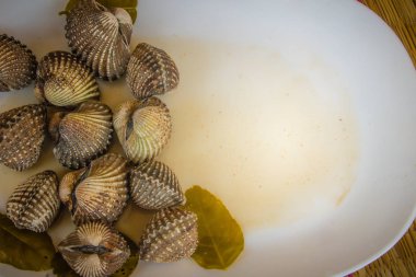 Metniniz için kopya alanı ile beyaz çanak üzerinde kan istiridye haşlanmış. Tarak çerçeve kopya alanı ile biraz uzun tuttum. Kan daraltan ya da deniz ürünleri kavramı için kan istiridye (Tegillarca granosa) arka plan.