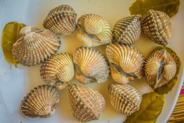 Beyaz yemek zemin üzerine haşlanmış kan istiridye. Herb ile haşlanmış daraltan çerçeve. Kan daraltan ya da deniz ürünleri kavramı için kan istiridye (Tegillarca granosa) arka plan.