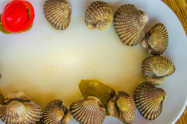 Metniniz için kırmızı domates arka plan ve kopya alanı ile beyaz yemek üzerine haşlanmış kan istiridye. Buğulanmış daraltan kırmızı domates ve kopya alanı ile. Tarak kan veya kan istiridye (Tegillarca granosa) arka plan.