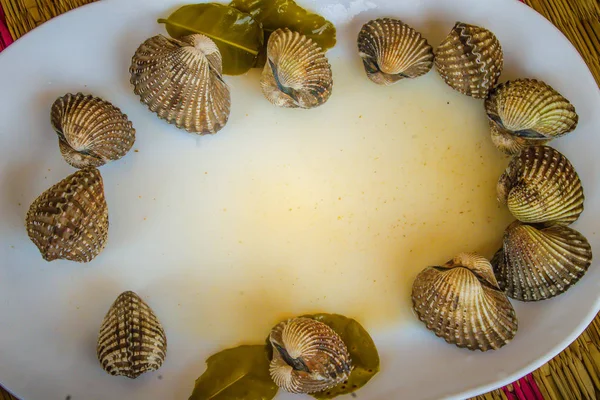 Metniniz için kopya alanı ile beyaz çanak üzerinde kan istiridye haşlanmış. Tarak çerçeve kopya alanı ile biraz uzun tuttum. Kan daraltan ya da deniz ürünleri kavramı için kan istiridye (Tegillarca granosa) arka plan.