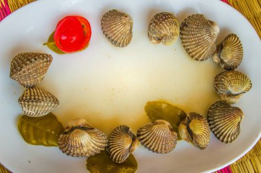 Metniniz için kırmızı domates arka plan ve kopya alanı ile beyaz yemek üzerine haşlanmış kan istiridye. Buğulanmış daraltan kırmızı domates ve kopya alanı ile. Tarak kan veya kan istiridye (Tegillarca granosa) arka plan.