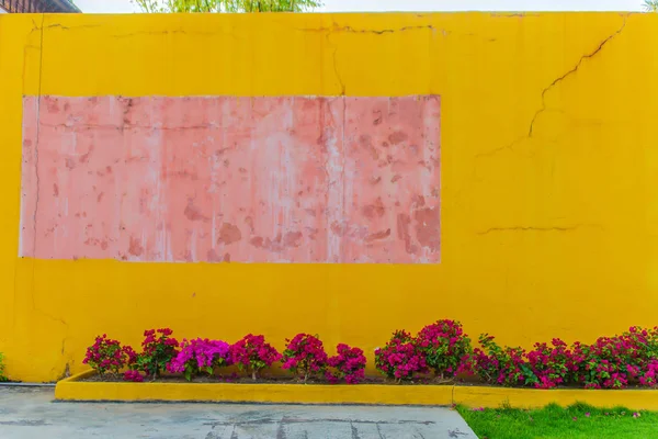 Orangefarbener Wandhintergrund Außen Mit Kopierraum Für Ihren Text — Stockfoto