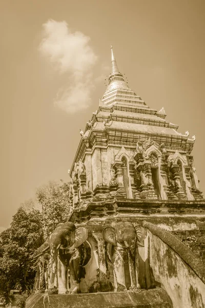 Старый Слон Чеди Золотой Верхней Пагоды Ват Чианг Ман Ват — стоковое фото