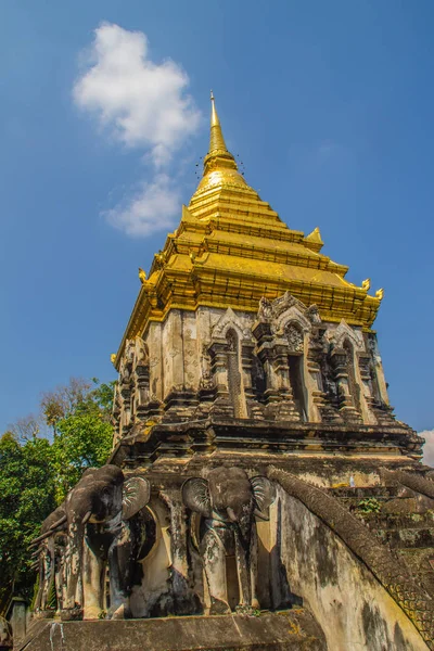 Παλιά Ελέφαντας Chedi Χρυσή Παγόδα Επάνω Στο Wat Chiang Man — Φωτογραφία Αρχείου