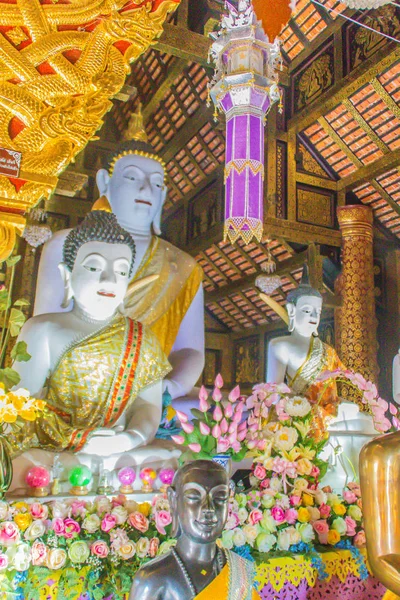 Schöne Weiße Buddha Bilder Inneren Der Viharn Von Wat Inthakhin — Stockfoto