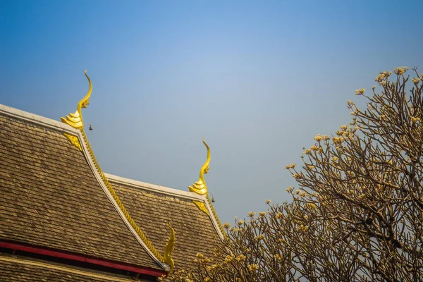 Schöne Goldene Buddhistische Kirche Lanna Stil Ordinationshalle Enthält Wat Chiang — Stockfoto
