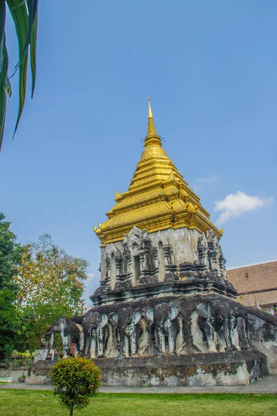 Παλιά Ελέφαντας Chedi Χρυσή Παγόδα Επάνω Στο Wat Chiang Man — Φωτογραφία Αρχείου