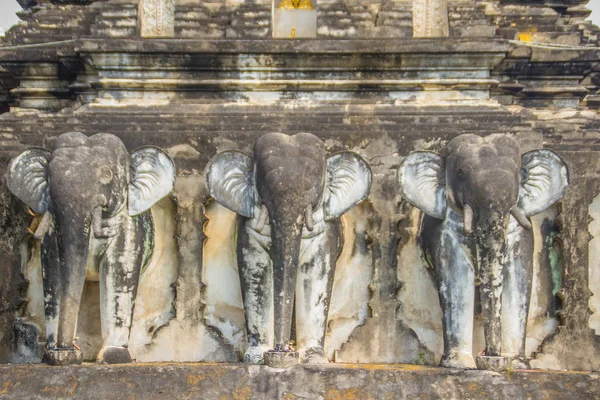 Fileiras Escultura Contrafortes Forma Elefante Apoiaram Chedi Wat Chiang Man — Fotografia de Stock