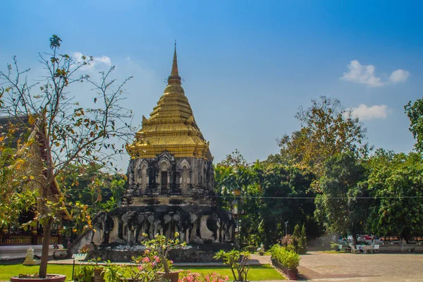 Oude Olifant Chedi Met Gouden Top Pagode Bij Wat Chiang — Stockfoto