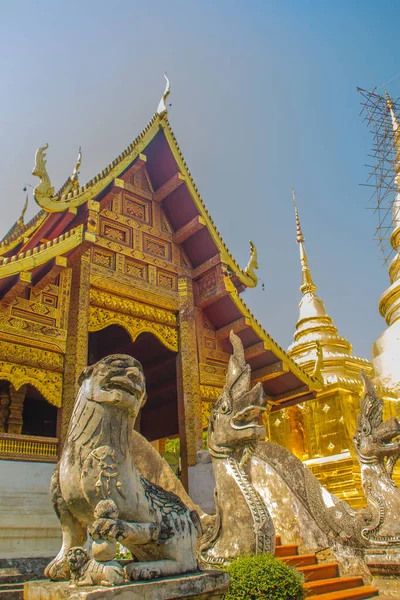 Lanna Estilo Igreja Budista Wat Phra Singh Templo Buda Leão — Fotografia de Stock