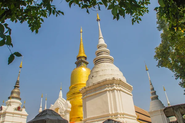 Hermosas Pagodas Doradas Blancas Estilo Sri Lanka Wat Suan Dok — Foto de Stock
