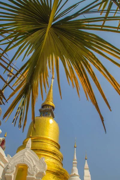 Hermosas Pagodas Doradas Blancas Estilo Sri Lanka Wat Suan Dok —  Fotos de Stock