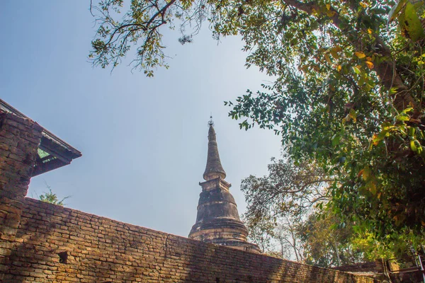 Starożytnych Pagoda Wat Umong Suan Puthatham 700 Letnia Świątyni Buddyjskiej — Zdjęcie stockowe