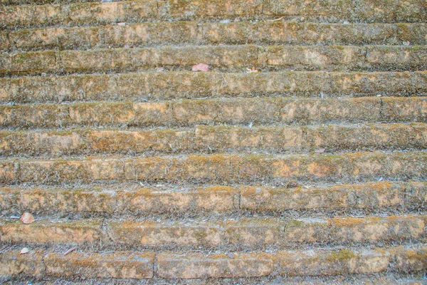 Droge Grijze Mos Stenen Muur Achtergrond Oude Muur Grijs Mossy — Stockfoto