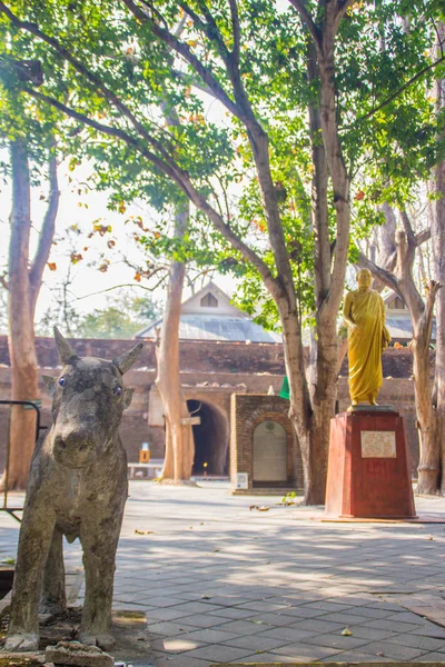 Huzurlu Wat Umong Suan Puthatham Chiang Mai Tayland Için 700 — Stok fotoğraf