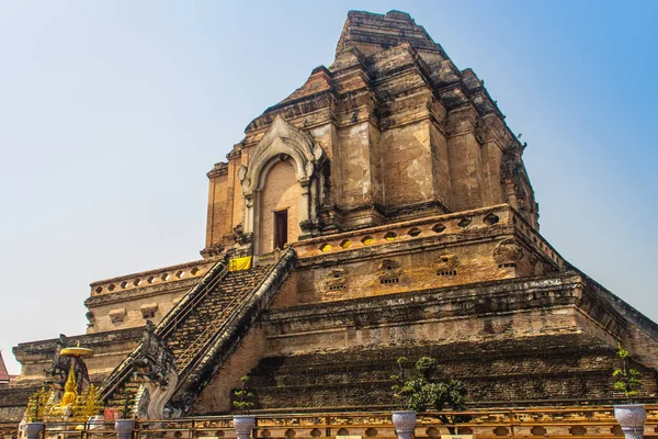 Старые Массивные Руины Пагоды Ват Чеди Луанг Храм Большой Королевской — стоковое фото