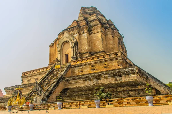 古老的大型废墟宝塔瓦切良 大皇家佛塔寺庙 位于清迈 Wat Chedi Luang 1383年 该建筑在1545发生地震后倒塌 — 图库照片