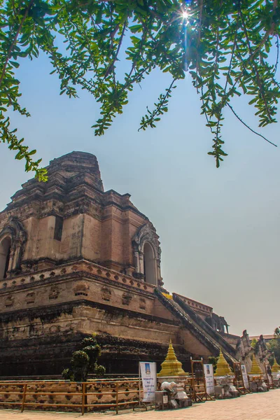 Velhas Ruínas Maciças Pagode Wat Chedi Luang Templo Grande Stupa — Fotografia de Stock