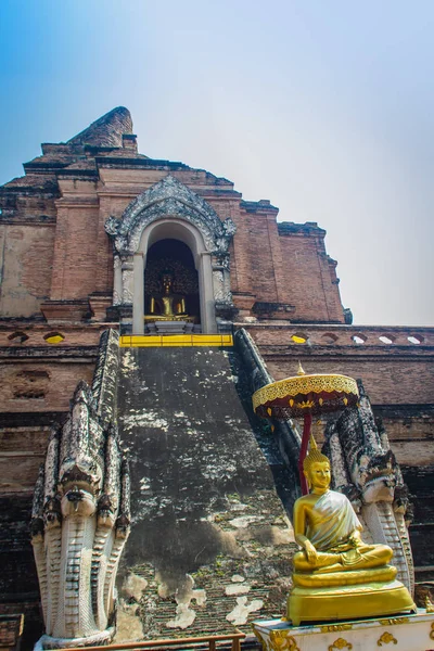 Velhas Ruínas Maciças Pagode Wat Chedi Luang Templo Grande Stupa — Fotografia de Stock