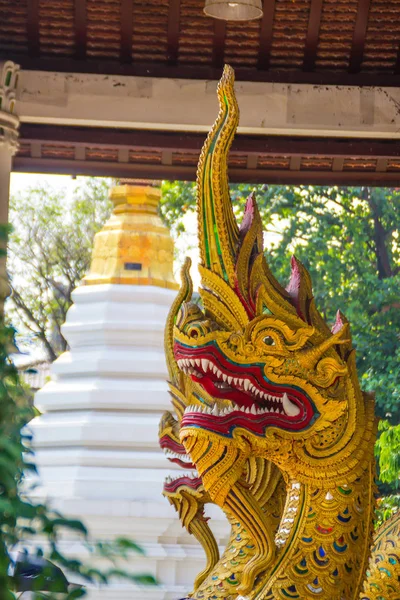 Naga Emas Indah Kepala Terbuka Mulut Dengan Taring Putih Dalam — Stok Foto