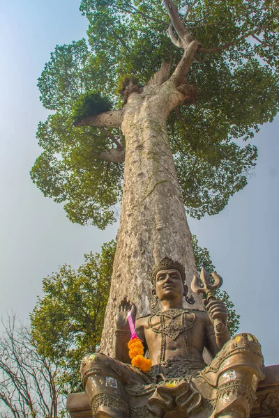 Άγαλμα Του Σίβα Μεγαλα Dipterocarpus Alatus Δέντρο Φλοιός Κοιτώντας Ψηλά — Φωτογραφία Αρχείου