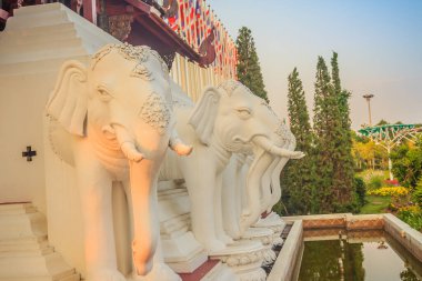 Güzel beyaz fil kafası heykeli. Müze standında Beyaz Fil Başı Heykeli