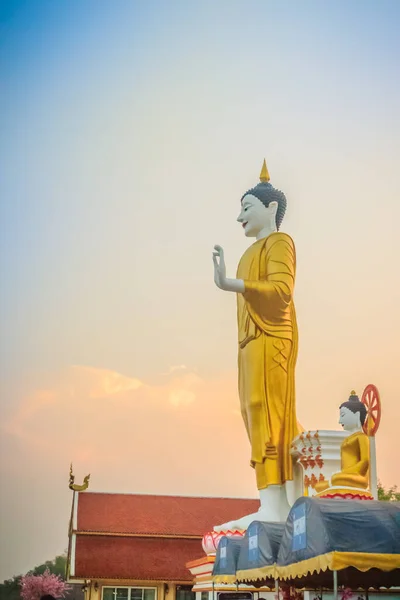 Belle Grande Image Bouddha Wat Phra Doi Kham Chiang Mai — Photo