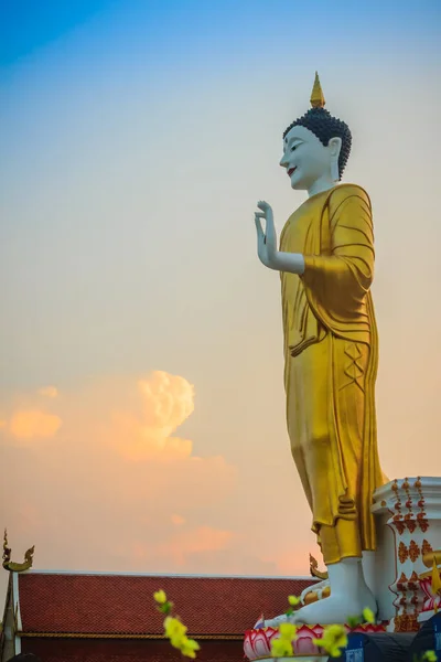 Чудове Велике Зображення Будди Ват Пхра Дой Кхам Чіангмай Таїланд — стокове фото