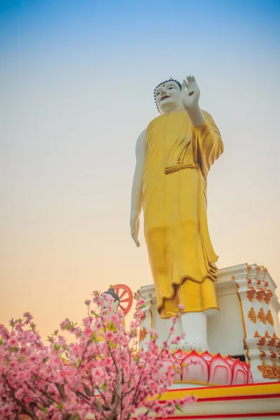 Wunderschönes Großes Buddha Bild Wat Phra Doi Kham Chiang Mai — Stockfoto