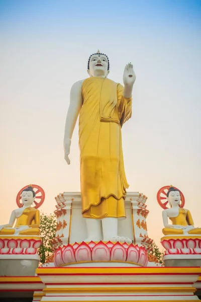 Belle Grande Image Bouddha Wat Phra Doi Kham Chiang Mai — Photo