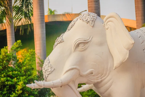 Hermosa Estatua Cabeza Elefante Blanco Escultura Cabeza Elefante Blanco Soporte —  Fotos de Stock