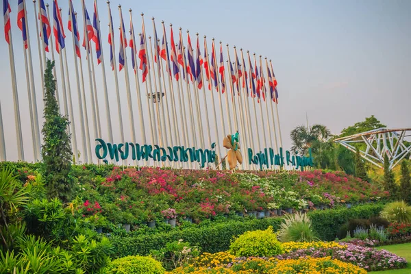 Chiang Mai Thailand Mai 2017 Royal Flora Ratchaphruek Ist Eine — Stockfoto