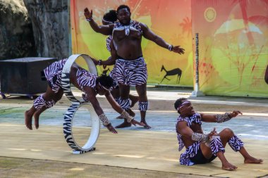 Bangkok, Tayland - 22 Eylül 2018: Dusit halk hayvanat bahçesindeki komik akrobatik kenya gösterisi (şimdi kapalı), Bangkok, Tayland.