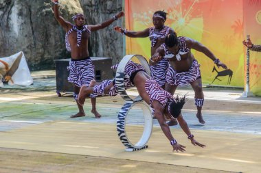 Bangkok, Tayland - 22 Eylül 2018: Dusit halk hayvanat bahçesindeki komik akrobatik kenya gösterisi (şimdi kapalı), Bangkok, Tayland.
