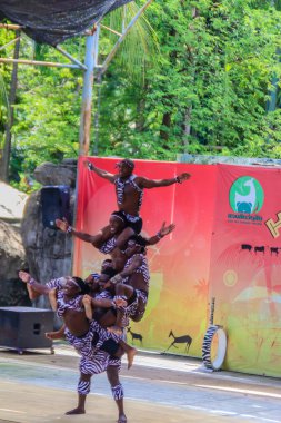 Bangkok, Tayland - 22 Eylül 2018: Dusit halk hayvanat bahçesindeki komik akrobatik kenya gösterisi (şimdi kapalı), Bangkok, Tayland.