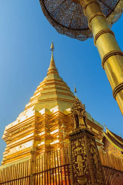 美丽的泰国北部风格的金塔建筑 金伞金塔位于著名庙宇华府 成为泰国清迈的地标 — 图库照片