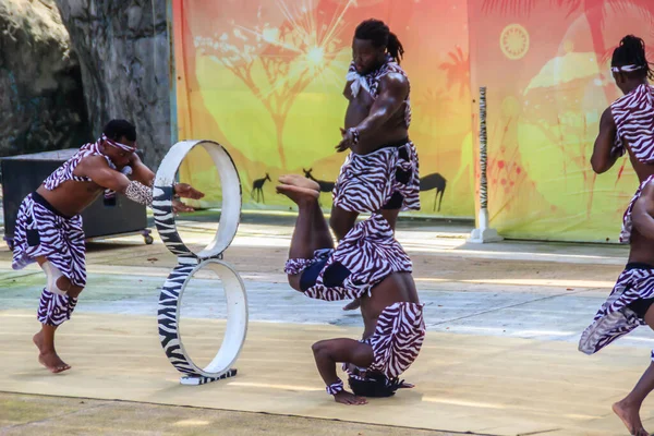 Bangkok Tailandia Septiembre 2018 Funny Acrobatic Kenya Show Dusit Public —  Fotos de Stock