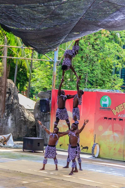 Bangkok Tailandia Septiembre 2018 Funny Acrobatic Kenya Show Dusit Public —  Fotos de Stock