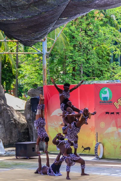 Bangkok Thaïlande Septembre 2018 Spectacle Acrobatique Drôle Zoo Public Dusit — Photo